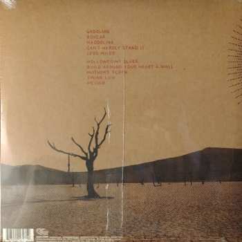 LP Cary Ann Hearst: Shovels And Rope