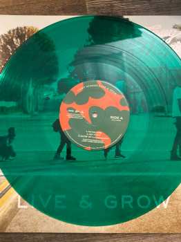 2LP Casey Veggies: Live & Grow CLR | LTD