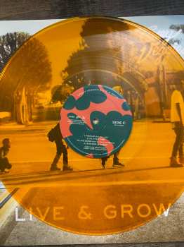 2LP Casey Veggies: Live & Grow CLR | LTD