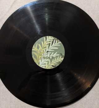 LP Cat Clyde: Hunters Trance