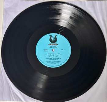 LP Catalyst: Perception