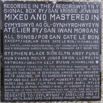 2LP Cate Le Bon: Cyrk & Cyrk II LTD | NUM | CLR