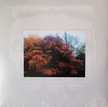 LP Cathal Coughlan: Song Of Co-Aklan LTD