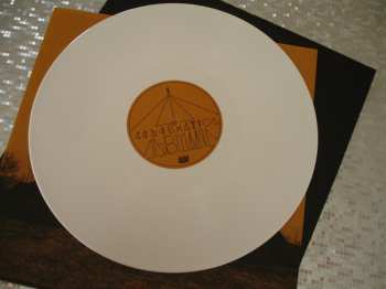 LP Celebration: Albumin  CLR