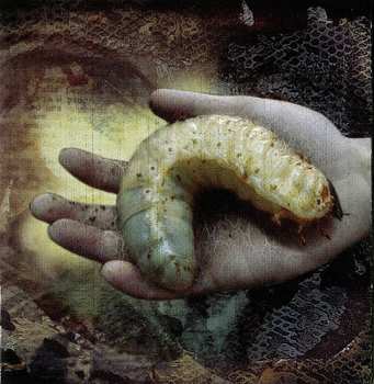 LP Cephalic Carnage: Xenosapien