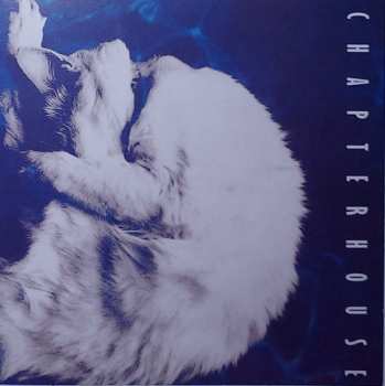 6CD/Coffret Chapterhouse: Chronology  DLX