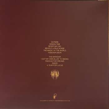 LP Hayden Pedigo: In The Earth Again