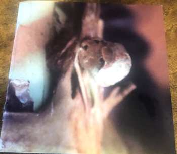 2CD/Coffret Ches Smith: Path Of Seven Colors