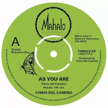 Chris del Camino: As You Are / Butterfly Monarch