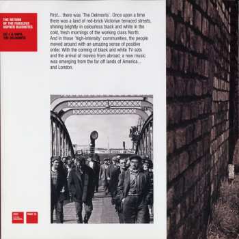 2LP/3CD/Coffret Chris Rea: The Return Of The Fabulous Hofner Bluenotes DLX