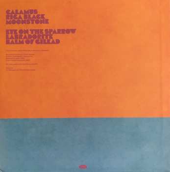 LP Chuck Johnson: Balsams