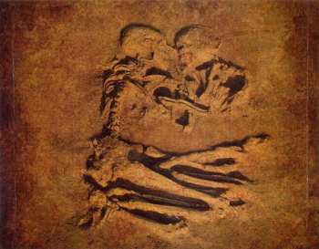 CD Cinis: The Last Days Of Ouroboros NUM