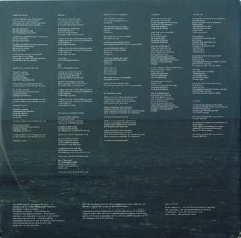 LP Circa Waves: What's It Like Over There?