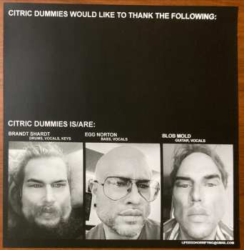 LP Citric Dummies: Zen And The Arcade Of Beating Your Ass