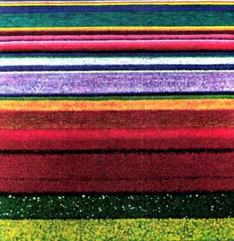 2LP City And Colour: Little Hell
