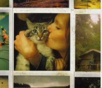 CD Cocoon: My Friends All Died In A Plane Crash