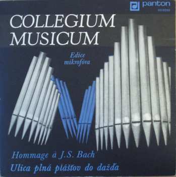 SP Collegium Musicum: Hommage À J. S. Bach / Ulica Plná Plášťov Do Dažďa