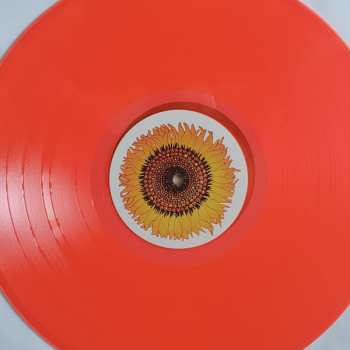 LP Colored Lights: Colored Lights CLR | LTD