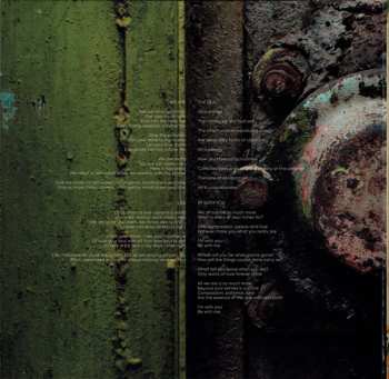 LP Colour Haze: We Are