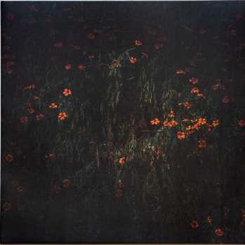 LP Compro Oro: Estarantos CLR | LTD