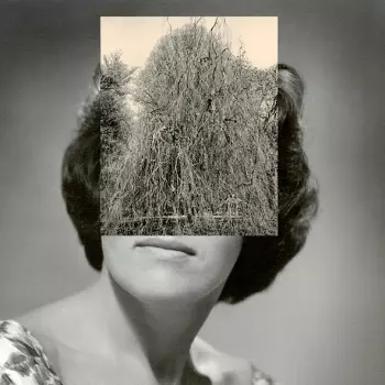 Crash Normal: Your Body Got A Land