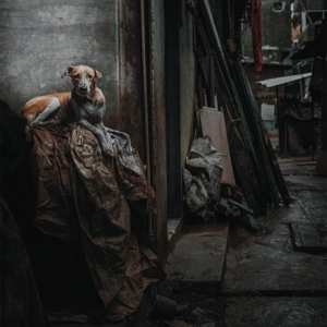 LP Cremations: Dissolution Of Balance CLR