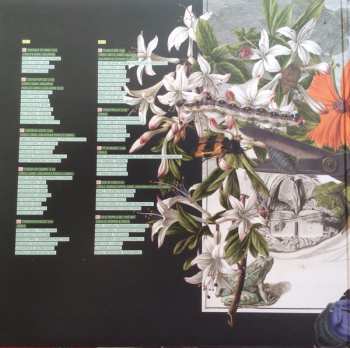 LP Criolo: Convoque Seu Buda LTD