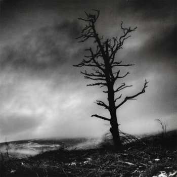 2LP Crippled Black Phoenix: I, Vigilante