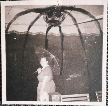 7CD/SP/Coffret Current 93: The Long Shadow Falls LTD