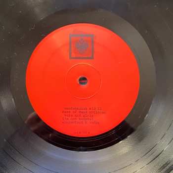 LP Cynthia Dall: Sound Restores Young Men