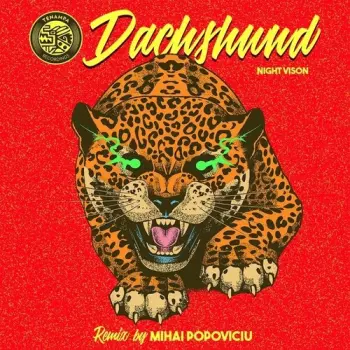 Dachshund,mihai Popoviciu: Night Vision