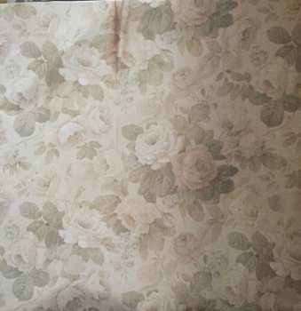 LP St. Vincent: Daddy's Home