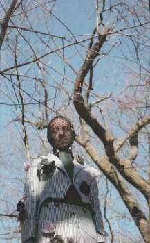 Album Daedelus: What Wands Won't Break