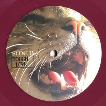 LP/MC Daily Toll: A Profound Non-Event LTD