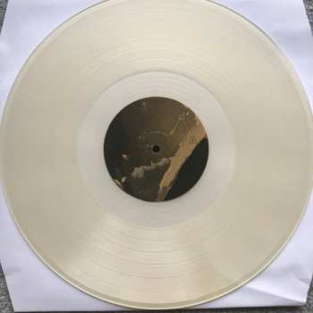 LP Daniela Casa: Società Malata CLR | LTD | NUM