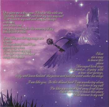 CD Dark Sarah: The Puzzle