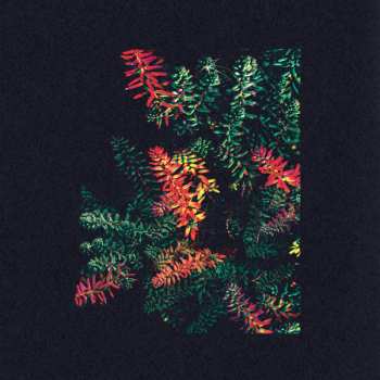 Album Dark Sky: Othona