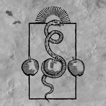 Album Darvaza: We Are Him