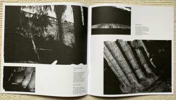 LP David August: D'Angelo