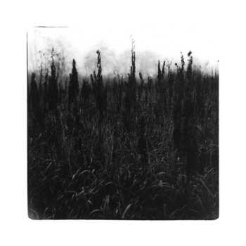 Album David Bennet: Within Reach Of Eventuality
