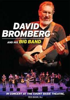 Album David Bromberg Band: David Bromberg And His Big Band In Concert At The Count Basie Theatre, Red Bank, NJ.