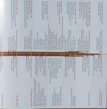 2LP David Byrne: Grown Backwards DLX
