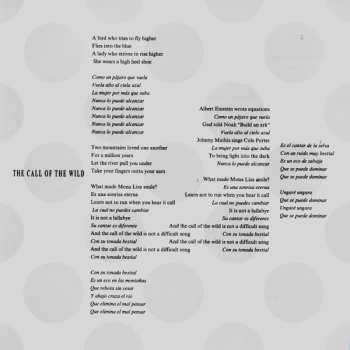 CD David Byrne: Rei Momo