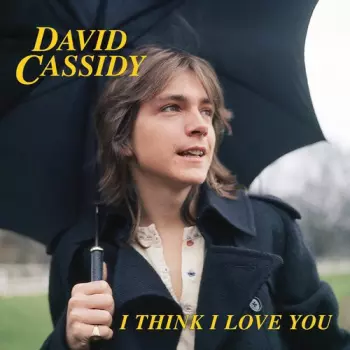 David Cassidy: I Think I Love You