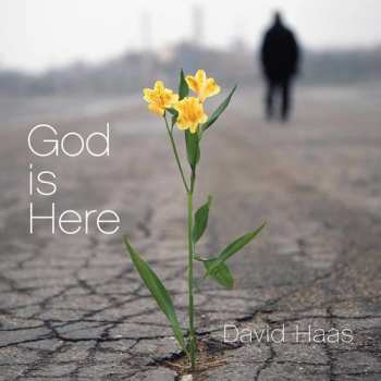 Album David Haas: God Is Here
