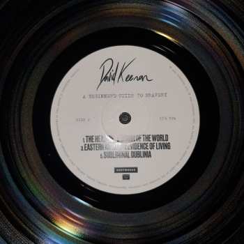 LP David Keenan: A Beginner's Guide To Bravery