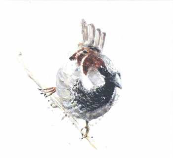 CD David Philips: The Rooftop Recordings 2 LTD | NUM | DIGI