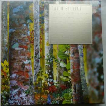 11CD/Coffret David Sylvian: Samadhisound 2003-2014 Do You Know Me Now?
