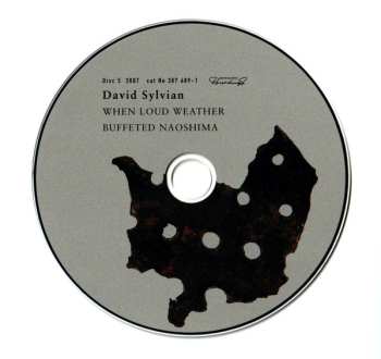 11CD/Coffret David Sylvian: Samadhisound 2003-2014 Do You Know Me Now?
