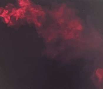 CD David T. Little: Soldier Songs